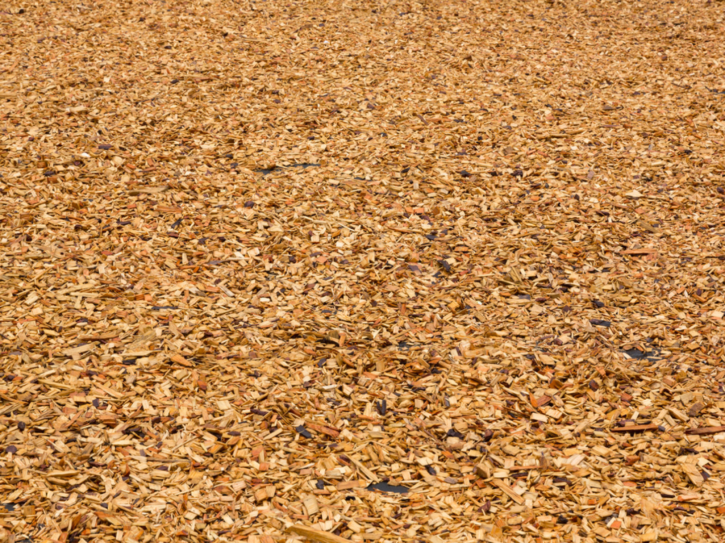 Mulching Services in Hubbard, TX Local Mulching Company Muddy Boot